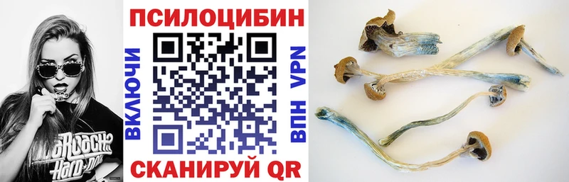 Купить  Унеча  Псилоцибиновые грибы мицелий 